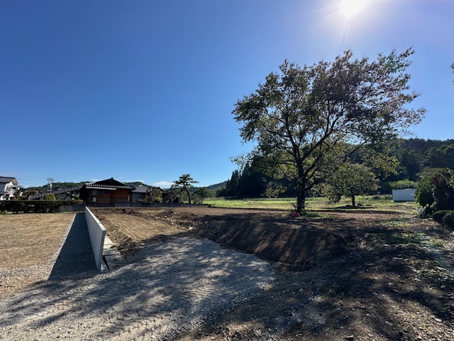 対象地 2025.10撮影 対象地 2025.10撮影