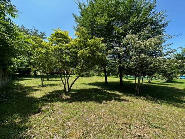 対象地 2023.7撮影 対象地 2023.7撮影