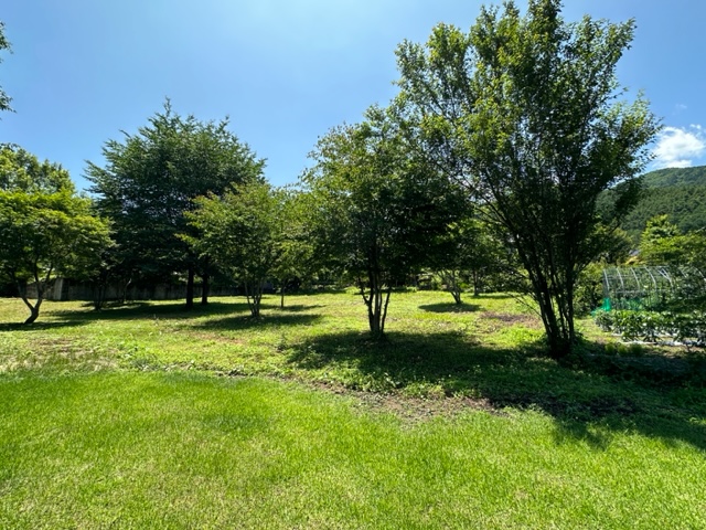 対象地 2023.7撮影 対象地 2023.7撮影