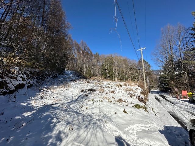 対象地 2025.12.6撮影 対象地 2025.12.6撮影